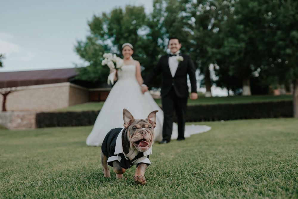 A couple in formal wedding attire walk together across a lush green lawn during their outdoor celebration.