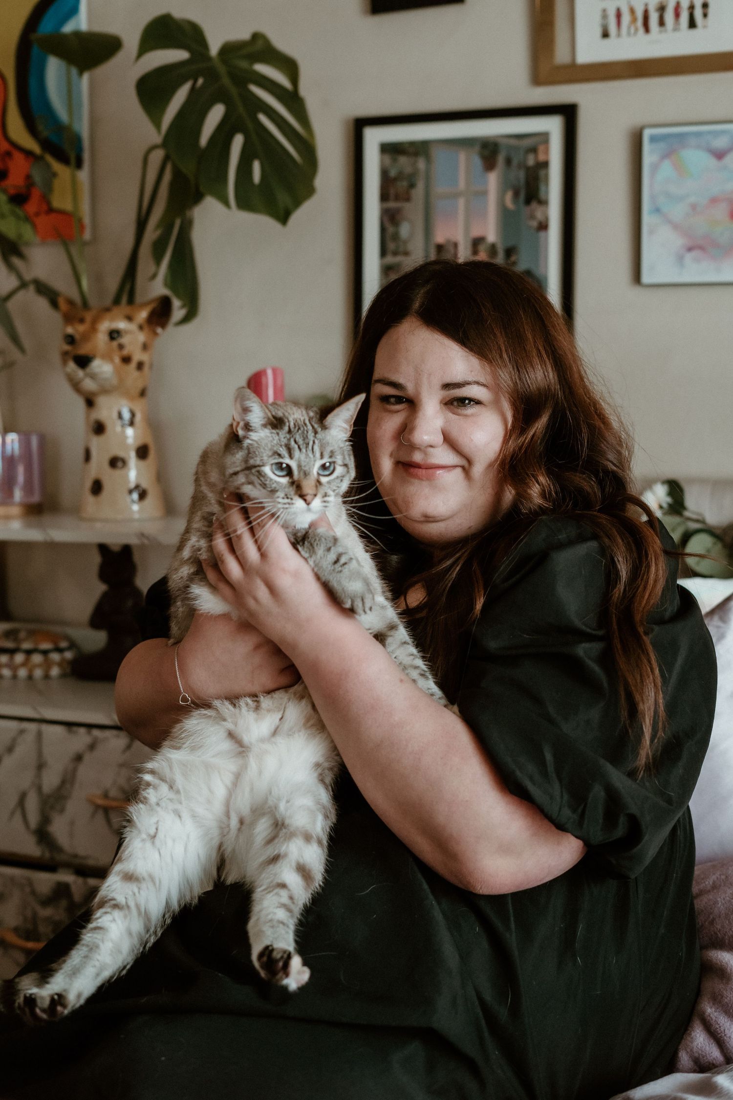 Someone sitting on a couch holds a large fluffy grey and white cat in a cozy room with houseplants and framed artwork.