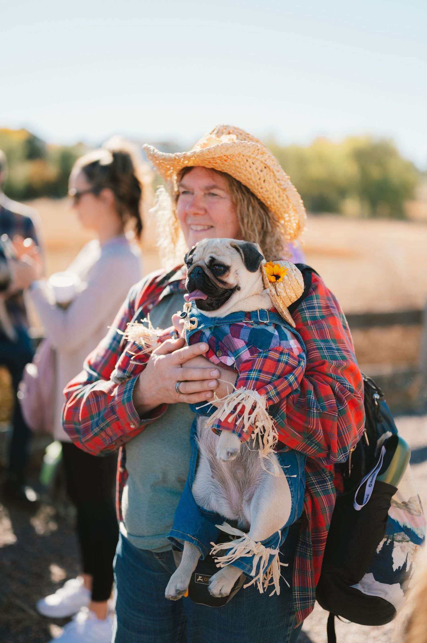 A pug dog wearing blue clothing is being held at an outdoor event by someone in a plaid shirt and straw hat.
