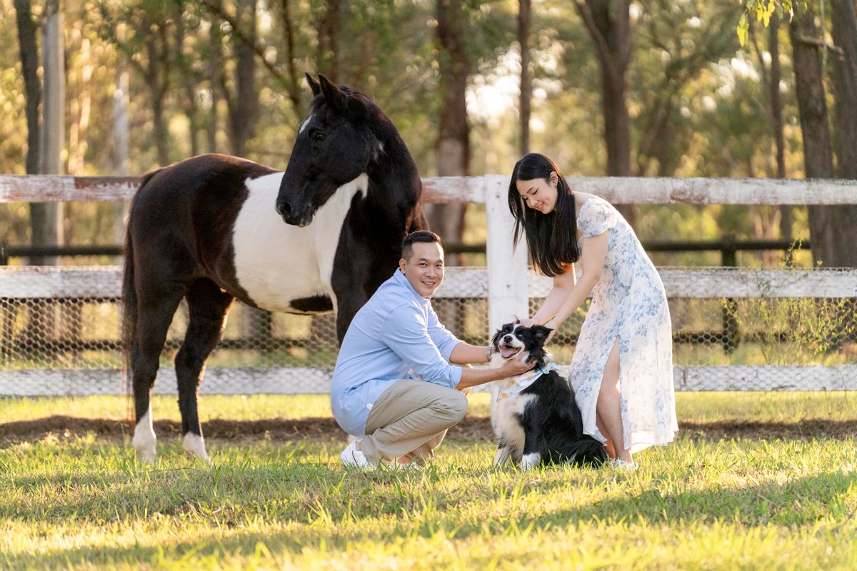 meeting a horse during a photoshoot in Sydney a couple's and their border collie's photoshoot experience