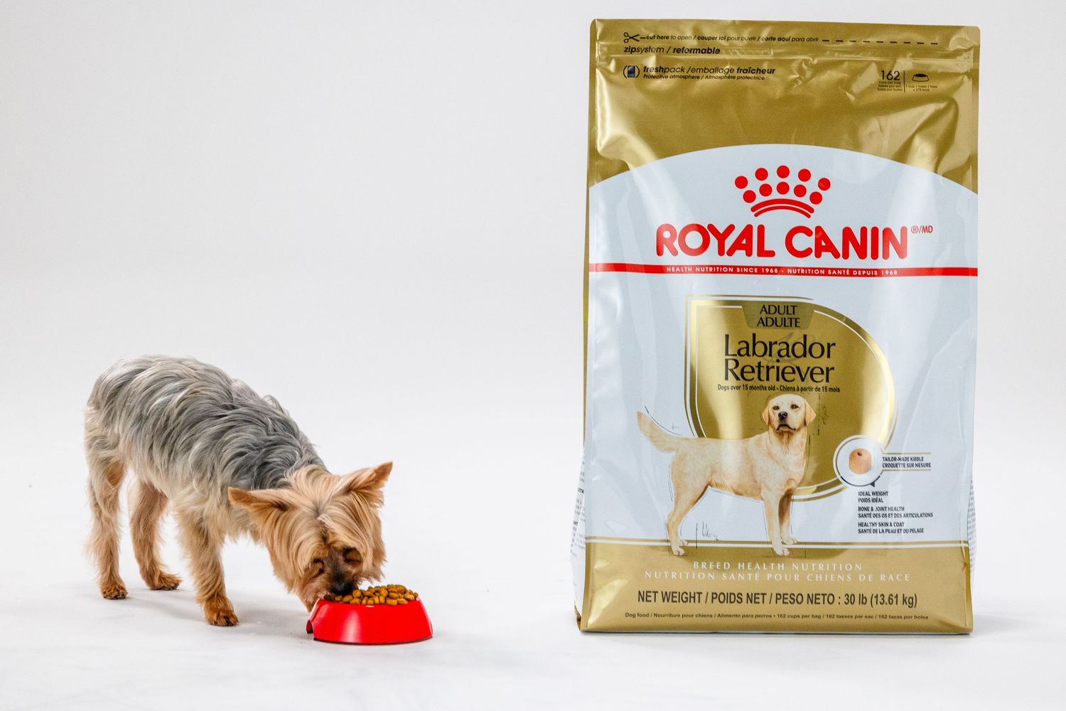 Product packaging lineup showing various Royal Canin pet food bags and a cat eating from a red bowl.