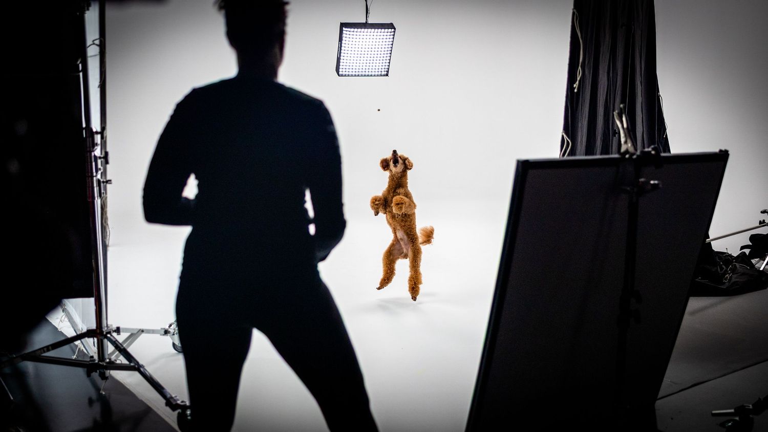 Dark silhouettes of photography equipment and studio setup against white background.