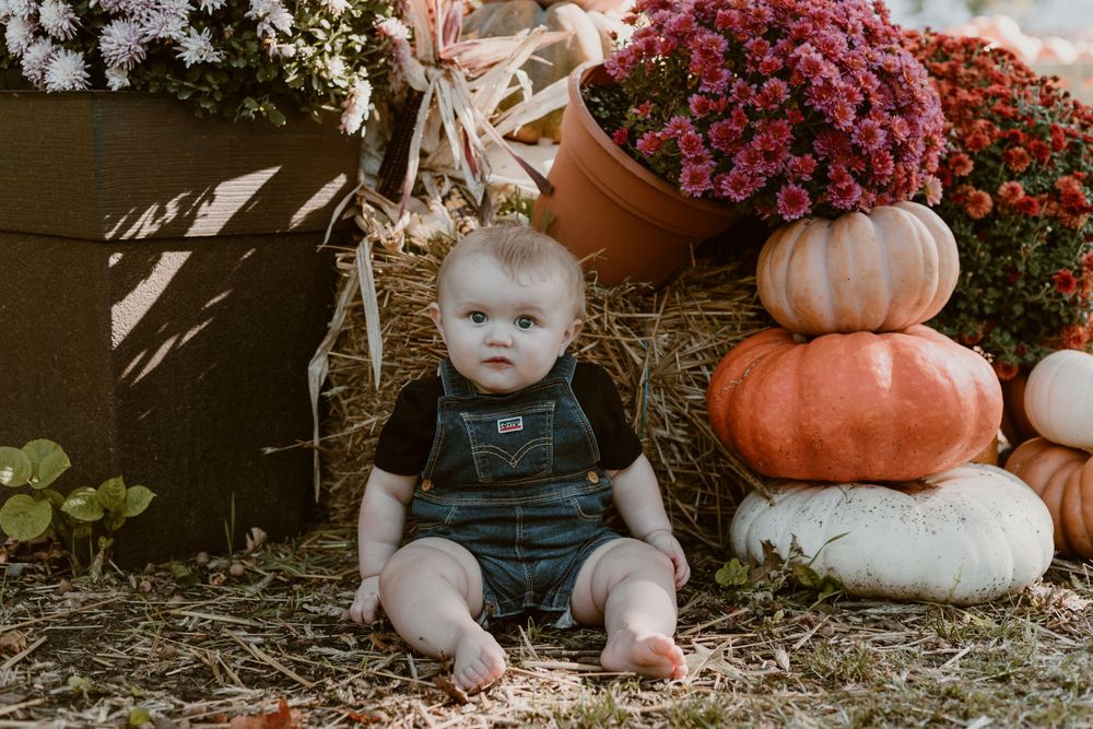 A cute baby in denim overalls sits on hay surrounded by colorful pumpkins and mums.