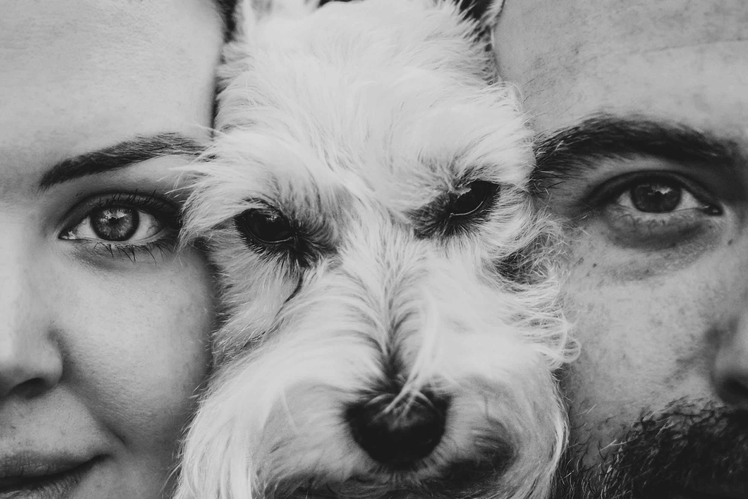 Black-and-white close-up of husband and wife holding their pet during an emotional end-of-life pet photography session, Windsor Ontario