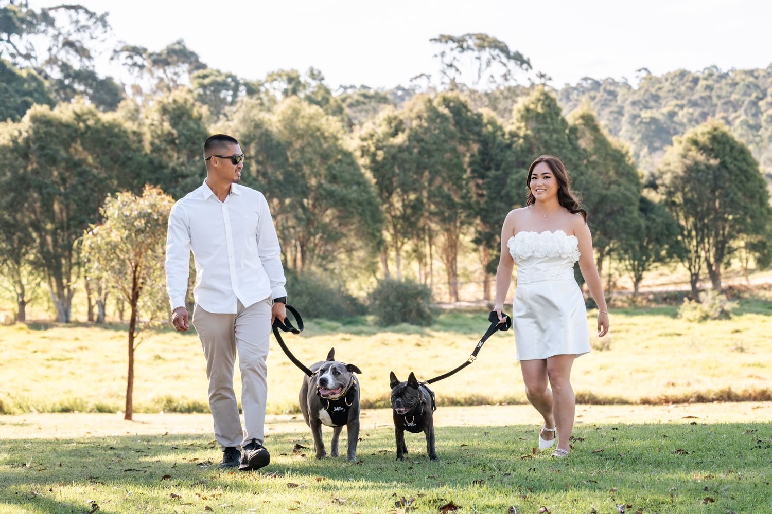 couple and their two dogs a frenchie and and an american stuffy walking towards the camera in Sydney Parklands during elopement photoshoot