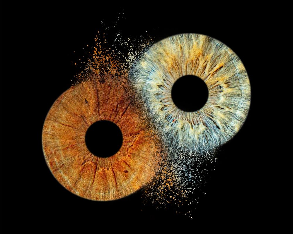 Iris photography by white fox photography showing two iris eyes together in a creative edit clash style