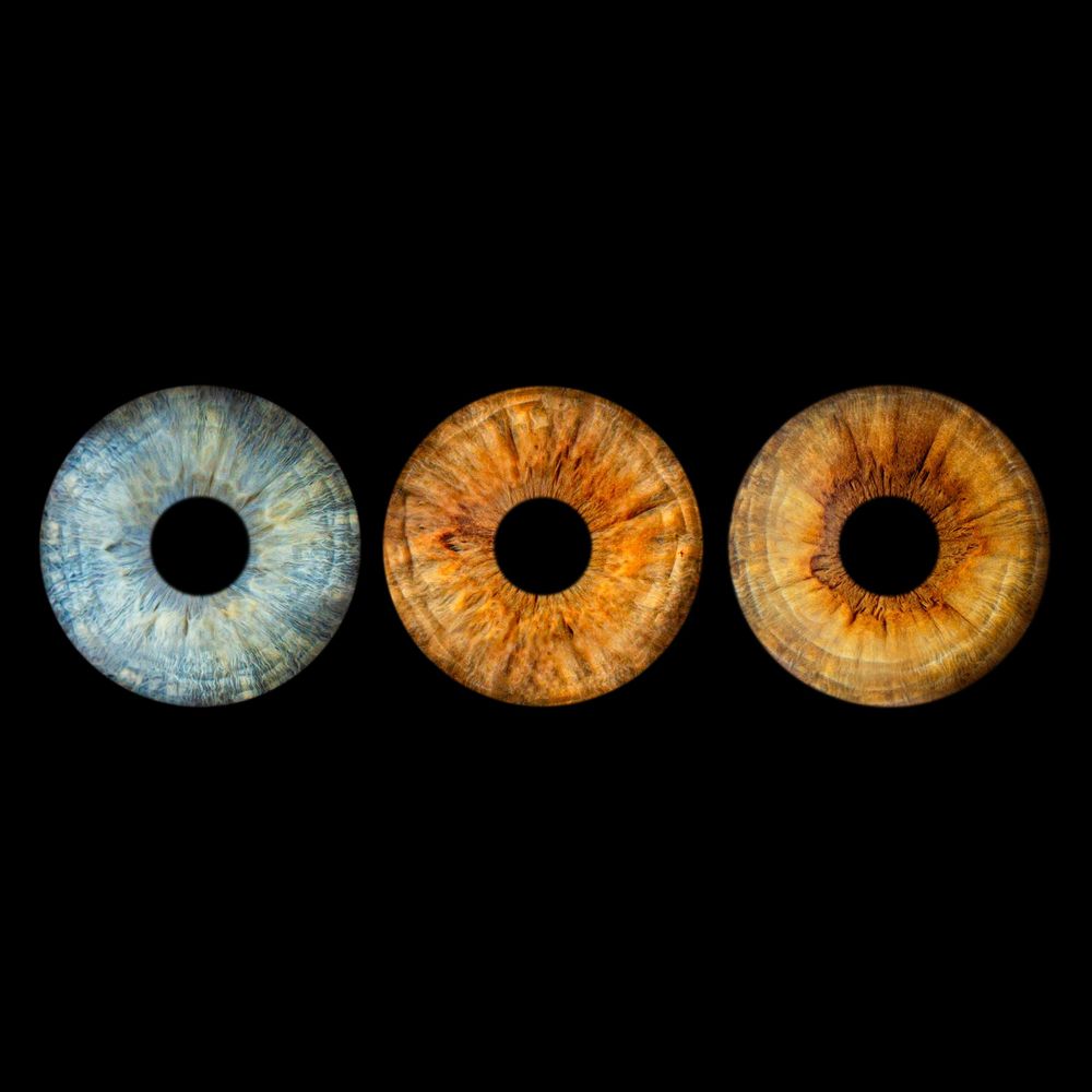 Iris photography by white fox photography showing three iris eyes together in a basic edit style
