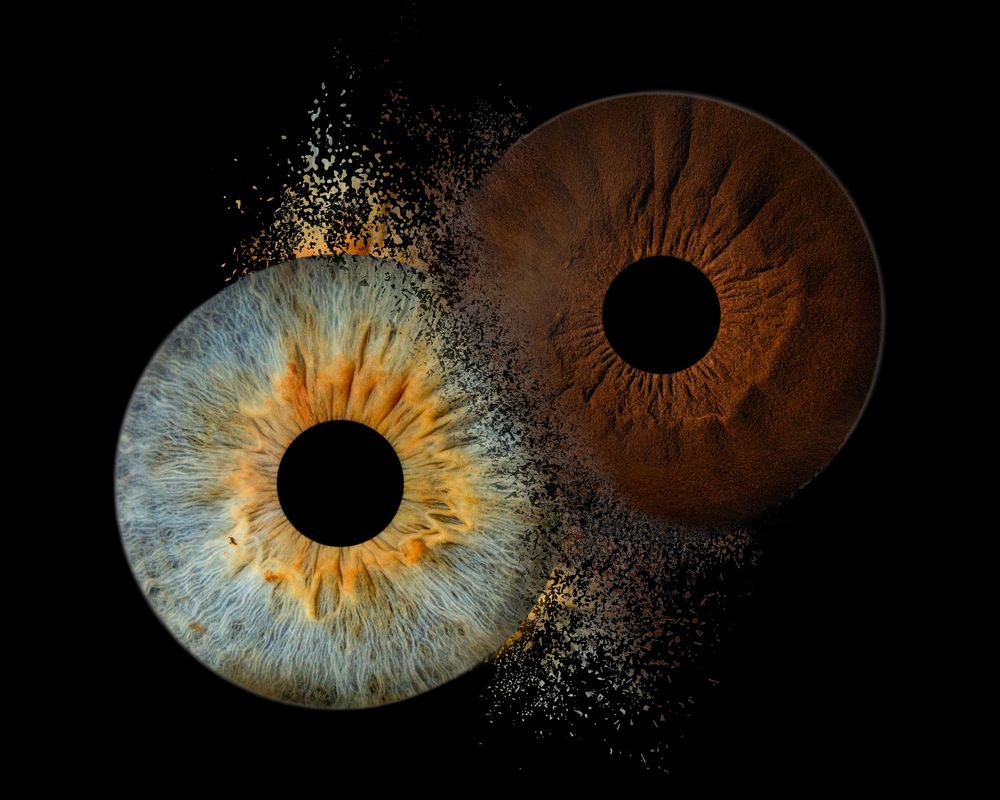 Iris photography by white fox photography showing two iris eyes together in a creative edit clash style