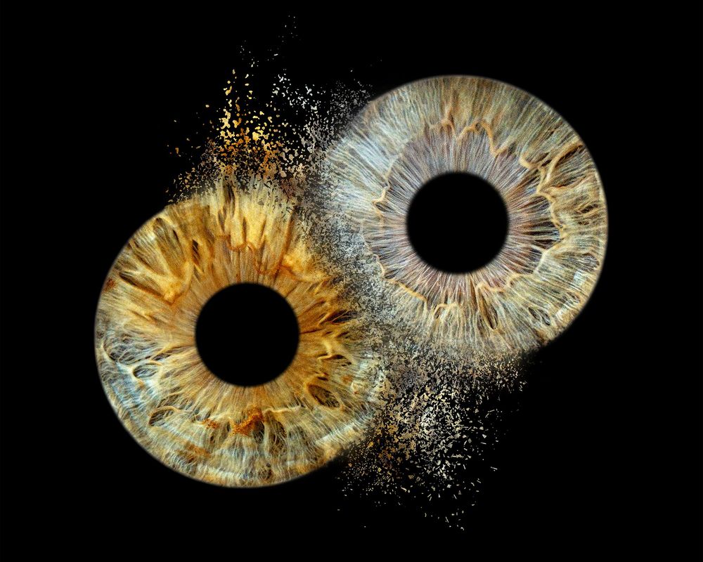 Iris photography by white fox photography showing two iris eyes together in a creative edit clash style