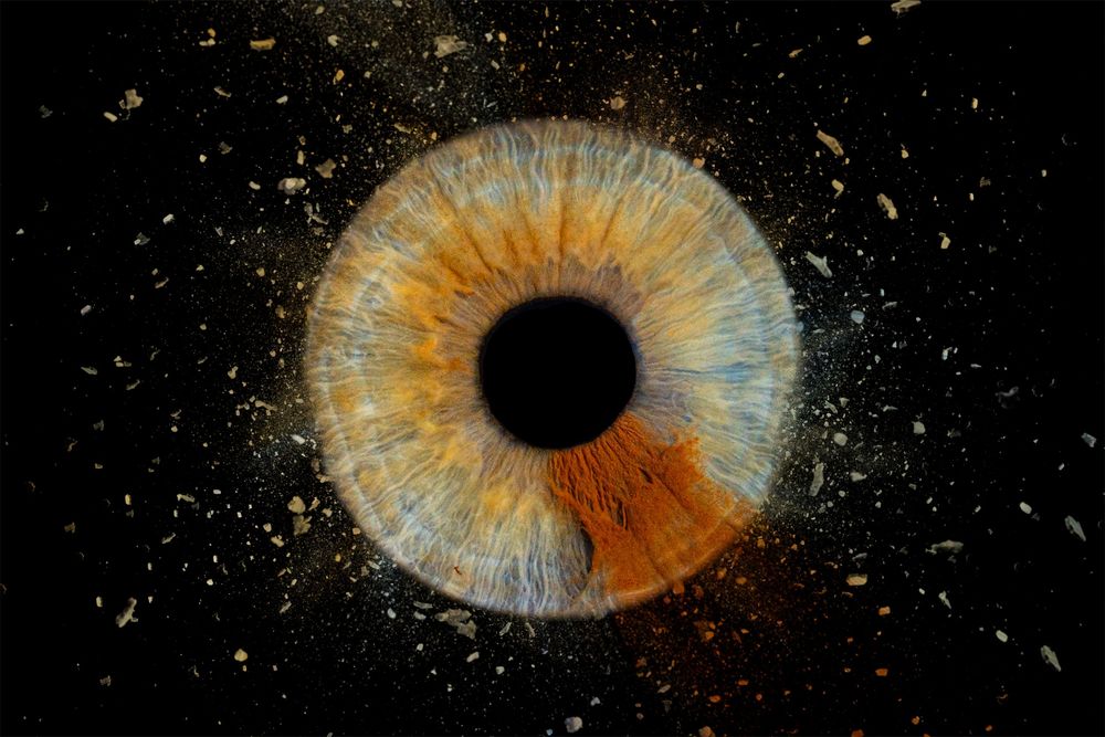 Iris photography by white fox photography showing one iris eye in a creative edit clash style