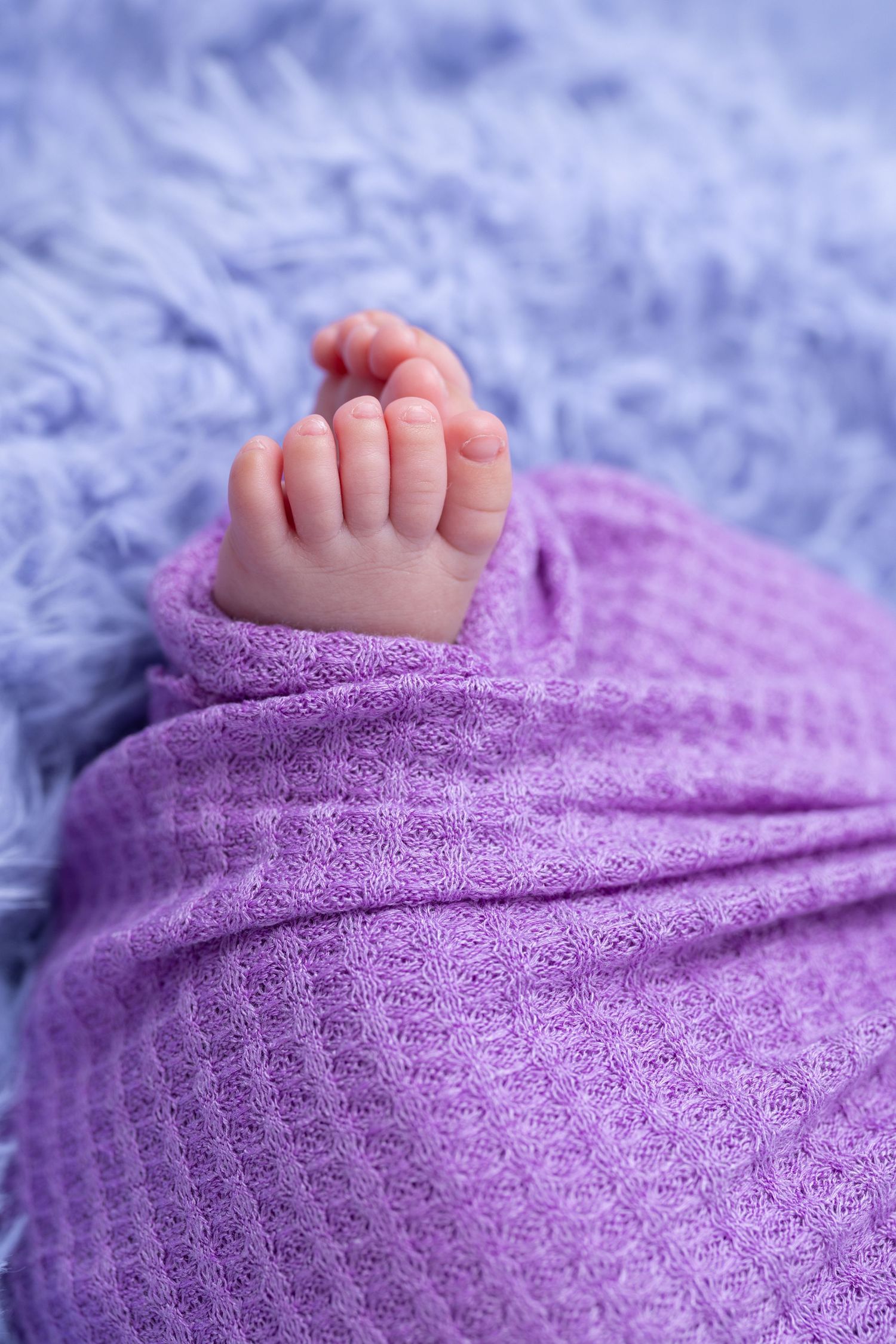 Close-up of tiny baby foot wrapped in soft purple textured blanket against blue background.