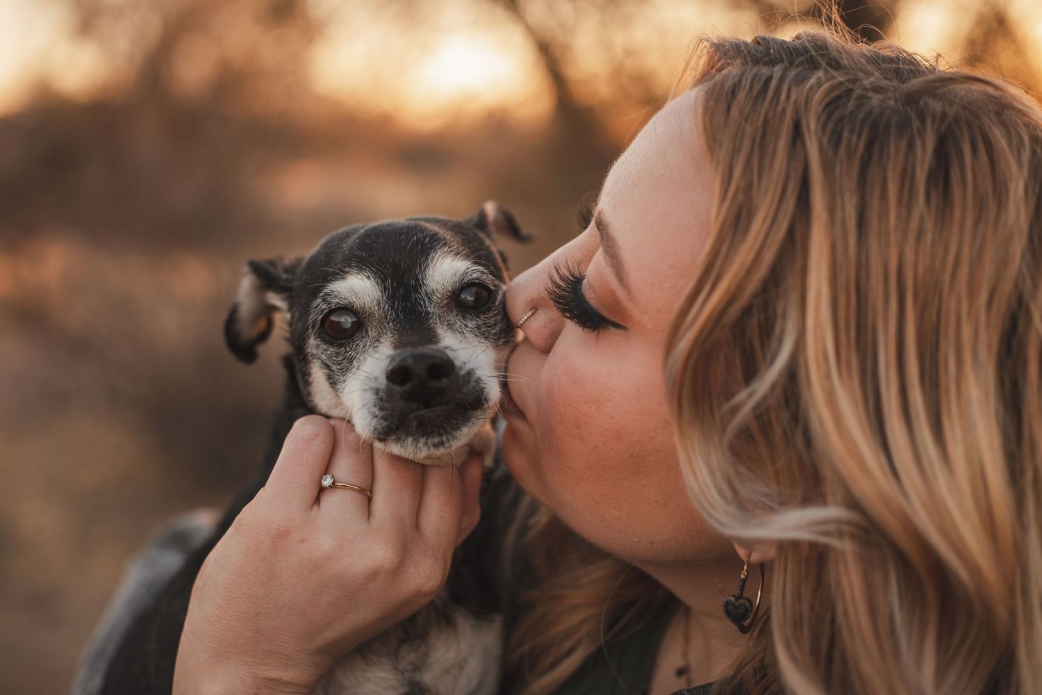 End of life dog session in Arizona. Dog photographer in Portland Oregon