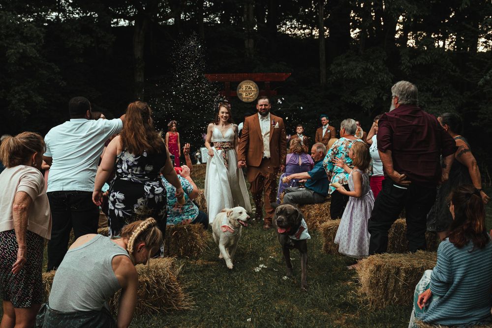 Casual outdoor wedding reception with hay bale seating and guests gathered in a garden setting.