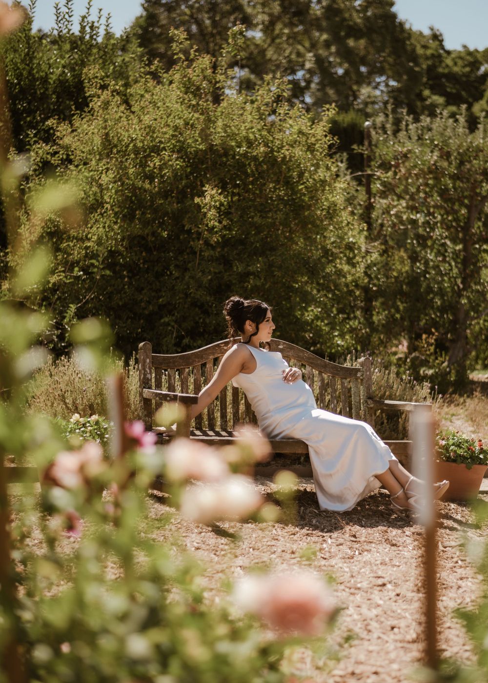 A peaceful garden bench scene surrounded by blooming flowers and greenery.