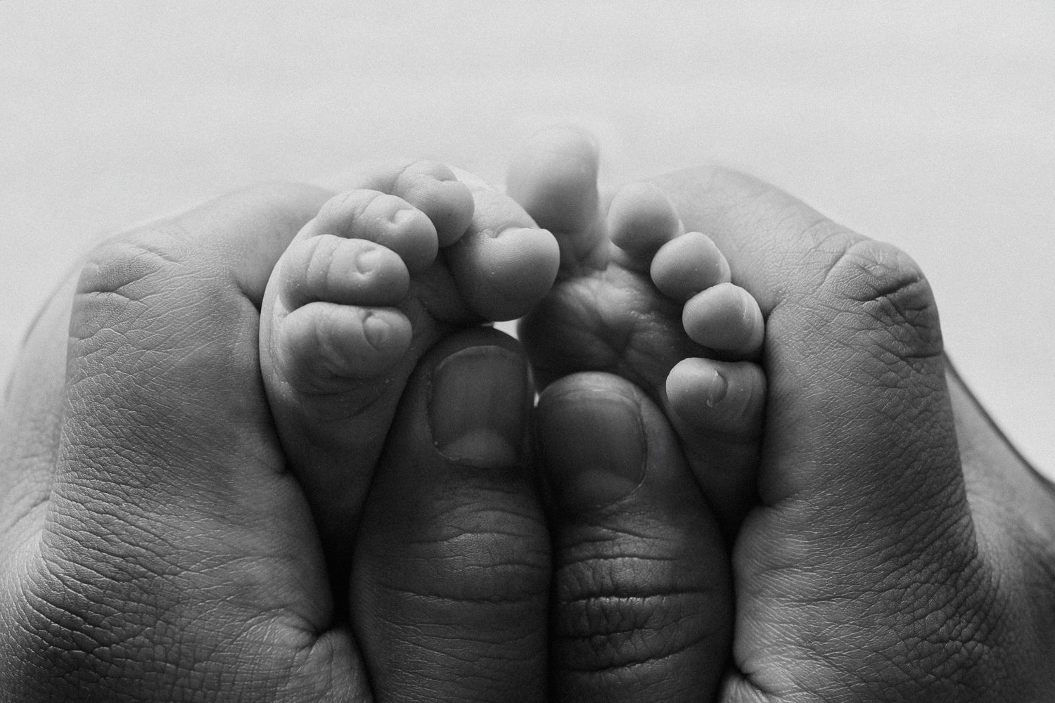 Black and white image of adult hands holding tiny baby feet.