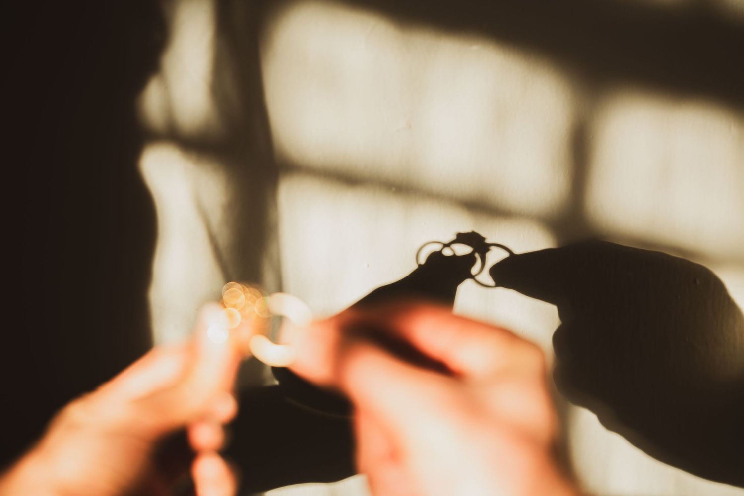 A close-up silhouette shot shows hands toasting and clinking wine glasses together in warm sunlit ambiance.