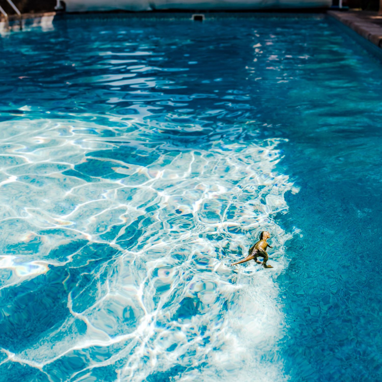 A green toy dinosaur floats in clear blue pool water creating ripples and patterns of sunlight reflections.