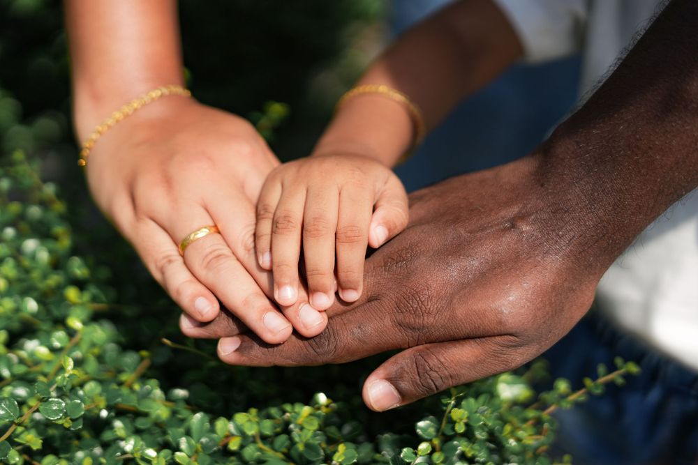 Hands of different skin tones join together on top of green foliage.