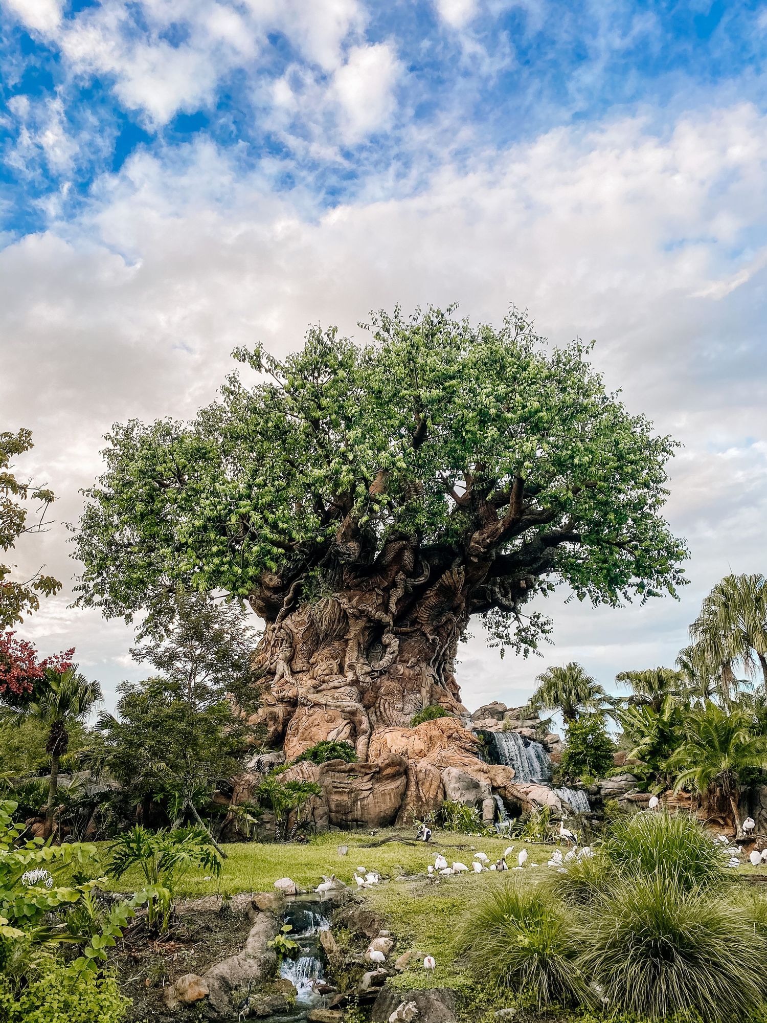 photo of the tree of life