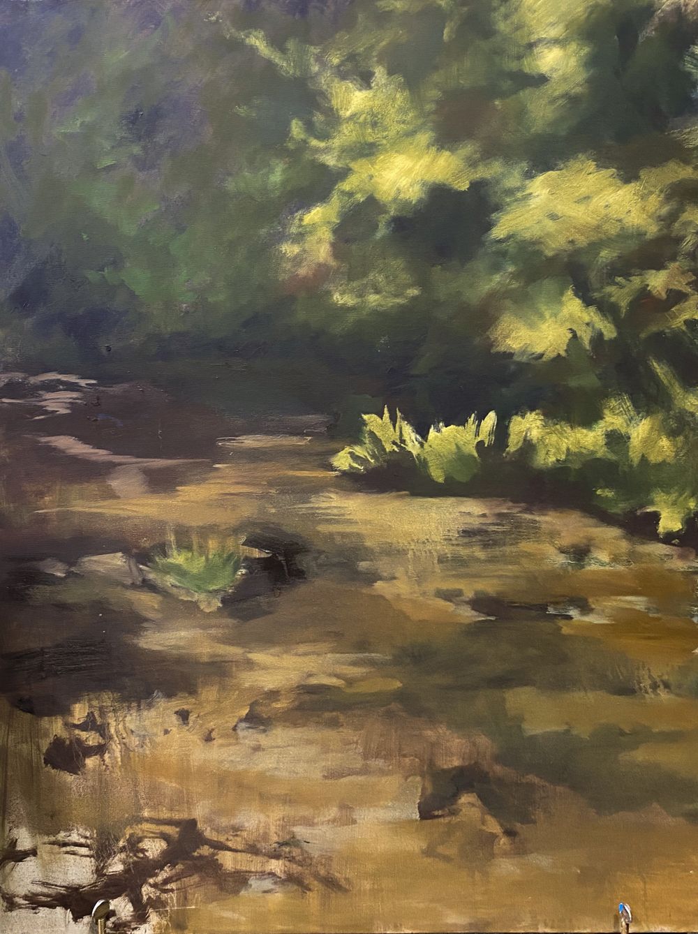 Stream bed with rocks and vegetation under dramatic yellow-tinged stormy sky.