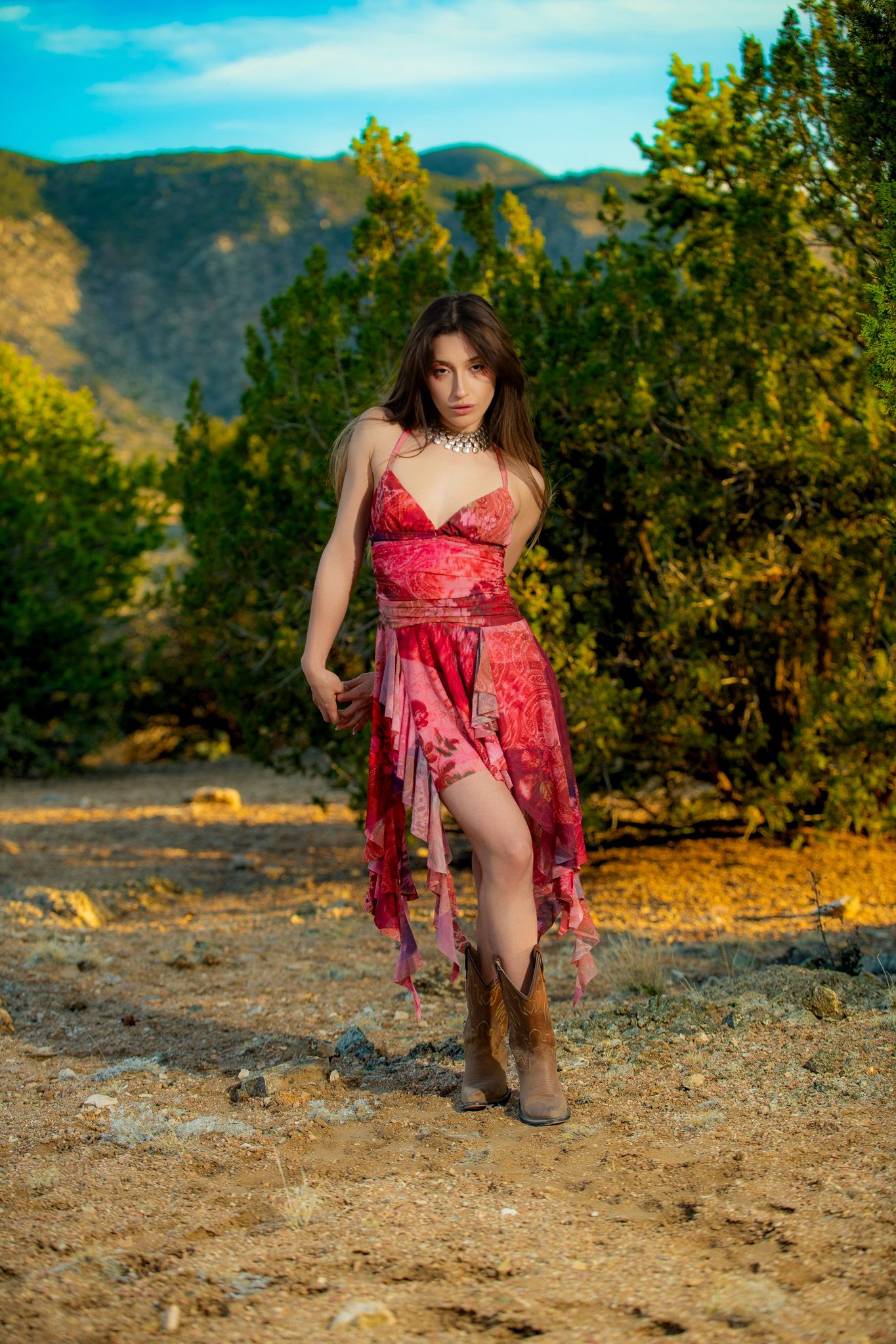 Portfolio Image