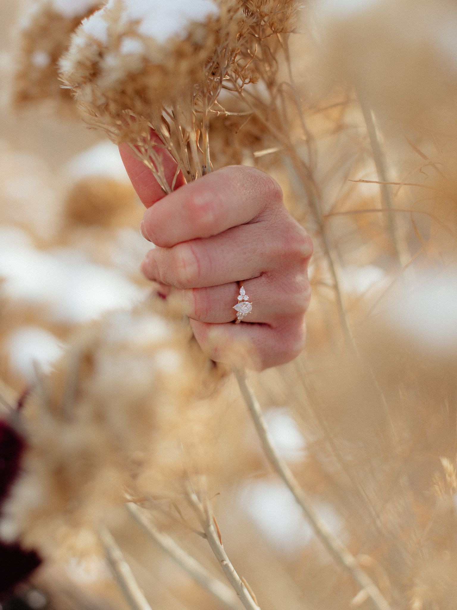 A close-up shot of a hand holding dried pampas grass stems, showcasing an engagement ring.