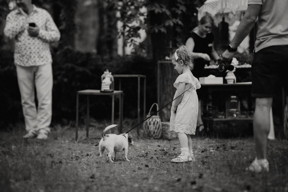Wedding guests and a small dog enjoying an outdoor celebration.