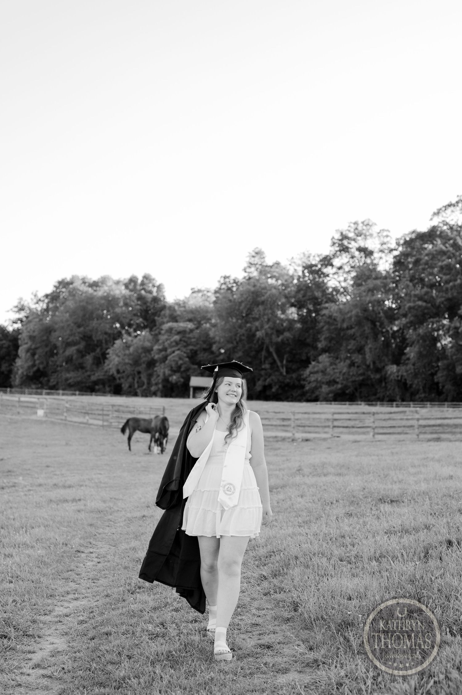 Black and white portrait of graduate walking through pastoral field with horses.
