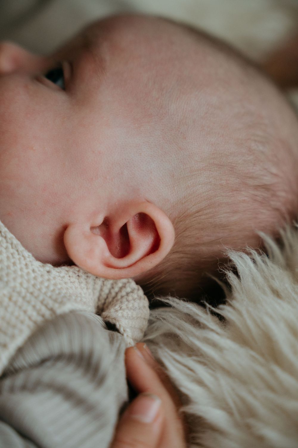 Extreme close up of a baby's ear and soft skin against a cream knit sweater.