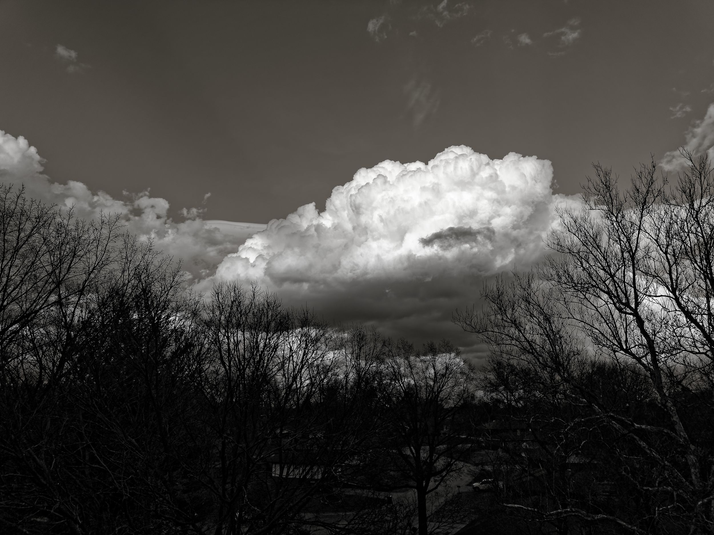 Dramatic black and white landscape with dark silhouetted trees against a cloudy sky at dusk.