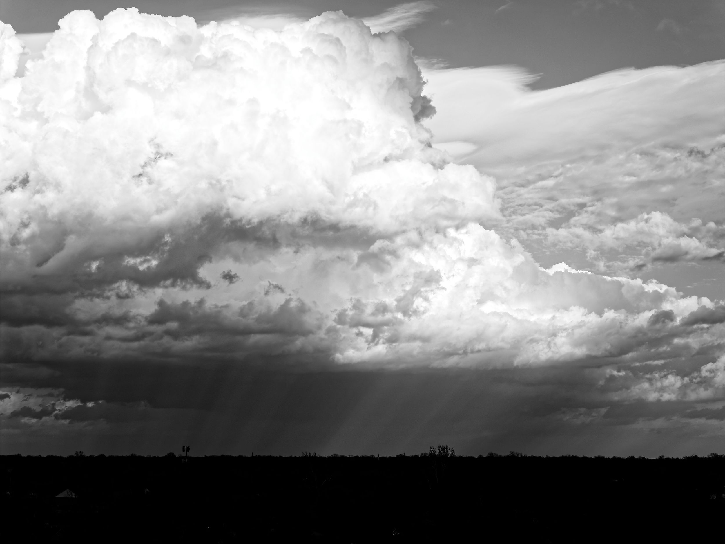 Panoramic monochrome skyscape showing billowing cumulus clouds stretching across a stark horizon.