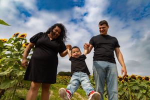 Family having fun in a sunflower field on a bright sunny day with blue skies.