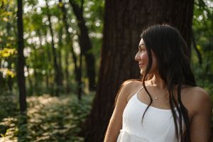 Serene forest scene with soft sunlight filtering through trees in summer.