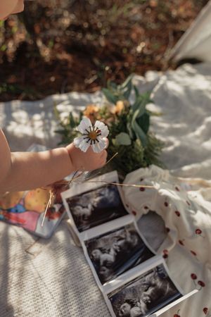 Ultrasound big sister baby announcement photo with wildflower