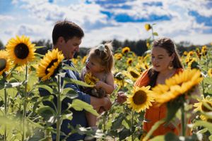 A joyful moment captured in a sunflower field under blue skies and fluffy clouds.