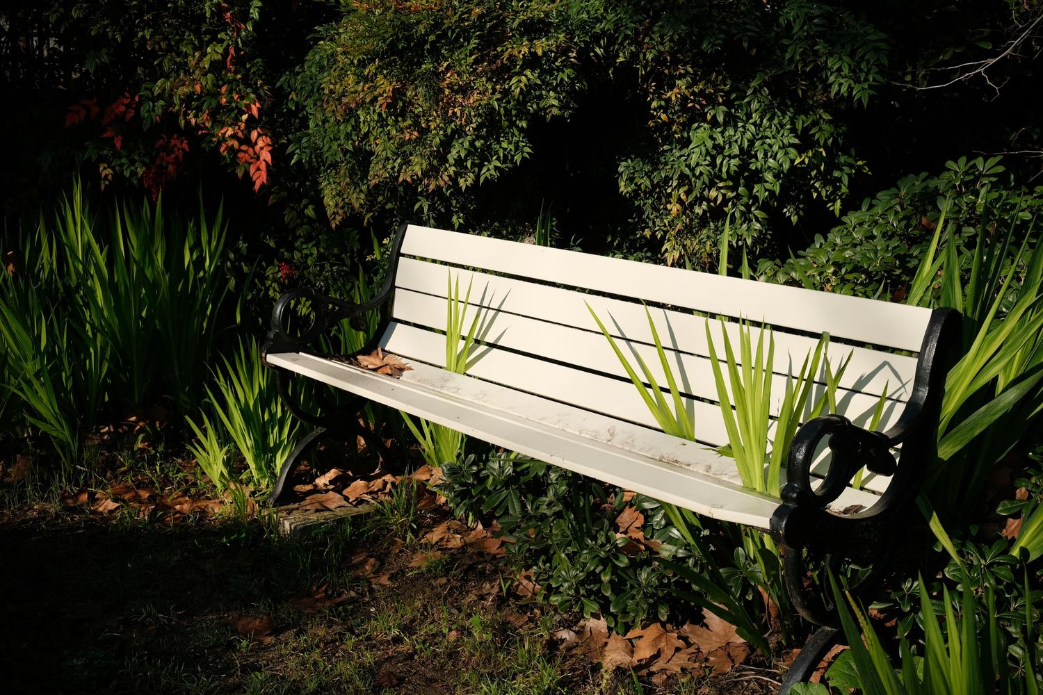 A white bench with plants growing around and through it in a memorial garden
