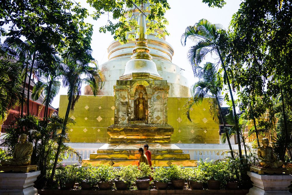 Golden Buddhist stupa surrounded by palm trees and tropical gardens in Thailand.