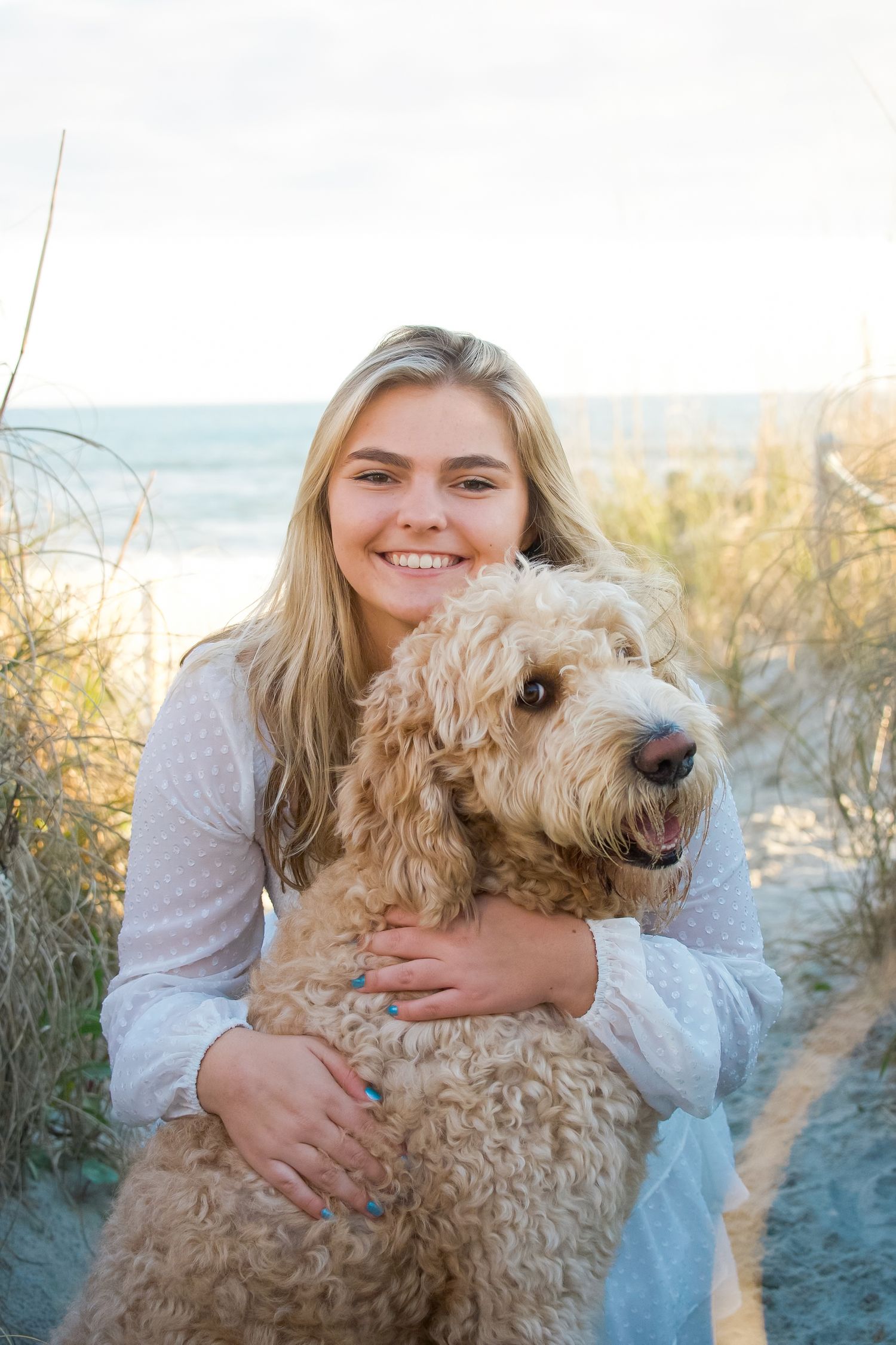 Heartwarming beach portrait with fluffy goldendoodle dog in coastal setting.