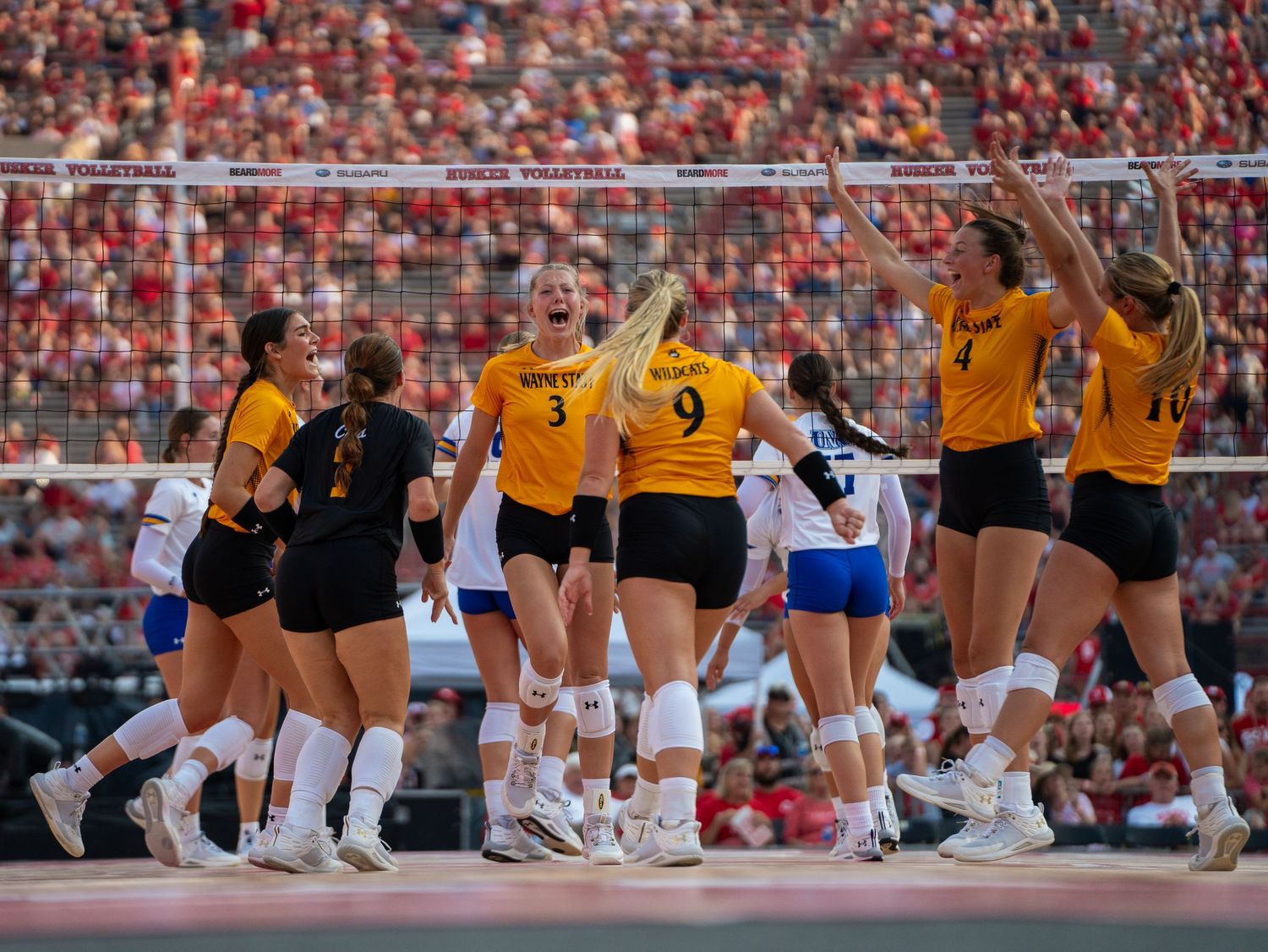 Volleyball team in gold jerseys celebrates a point during an intense match in a packed arena.