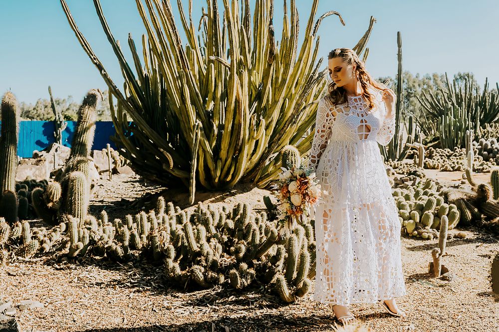 White lace dress contrasts against desert landscape with tall cactus plants and succulents on sunny day.