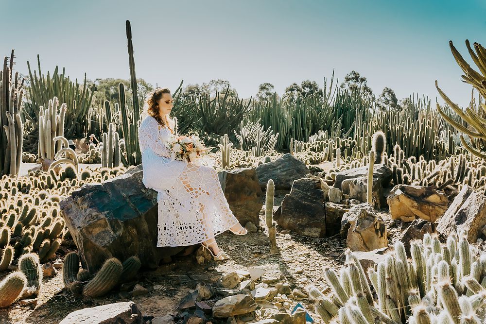 Woman in white dress sitting on rocks surrounded by desert cactus garden holding flowers.
