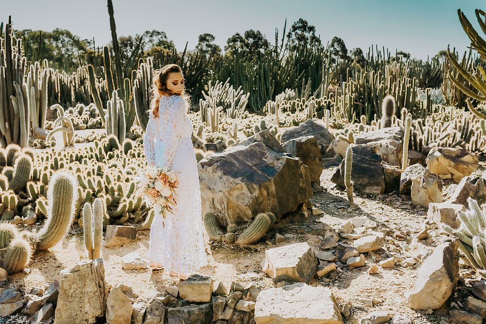 Desert engagement photo session among large cacti and succulents in bright sunlight.