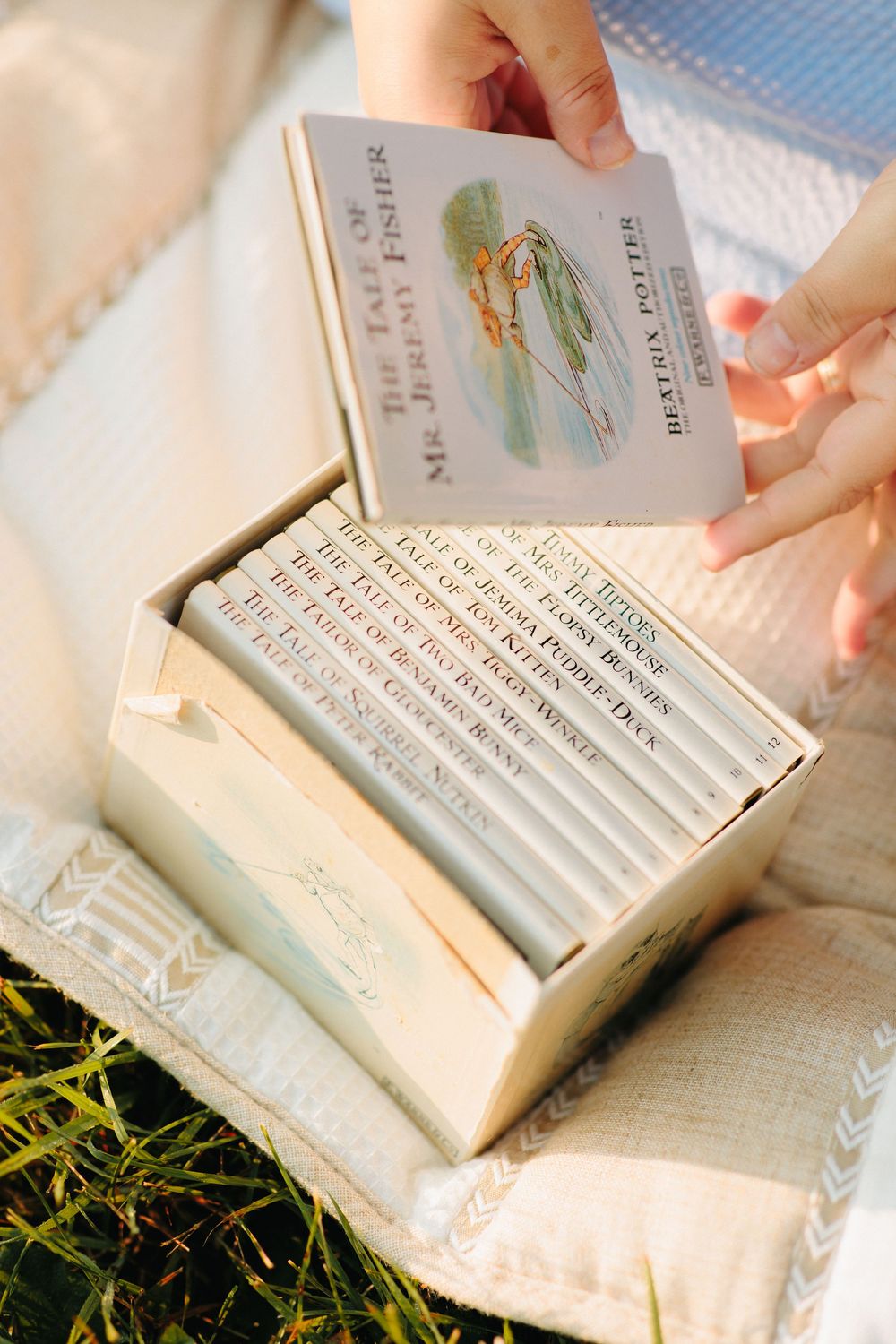 Hands holding vintage natural history flashcards displayed in an old white box on textured fabric with greenery.