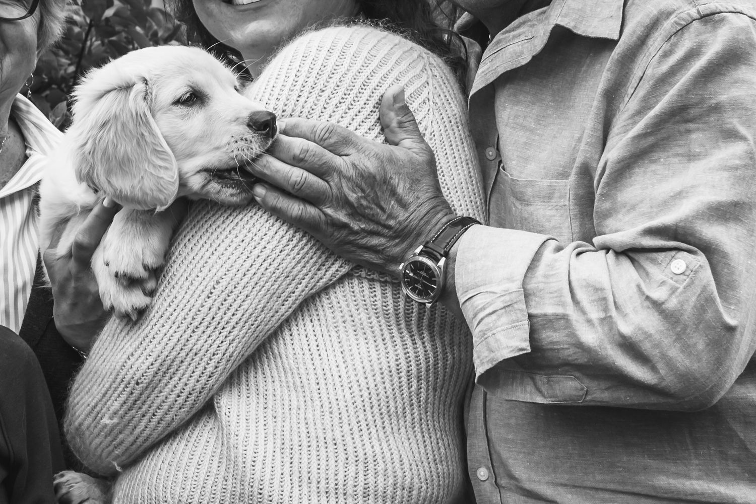 A black and white photo shows someone holding a puppy as it's mouthing on the hand of another person.