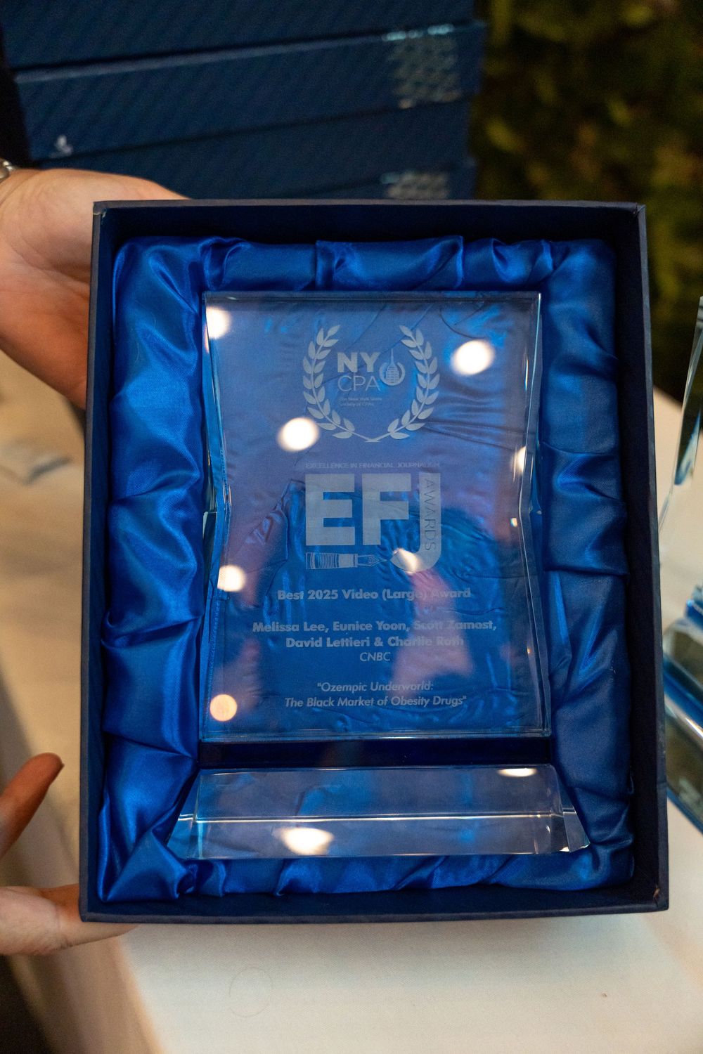 Glass award plaques displayed in blue velvet presentation boxes.