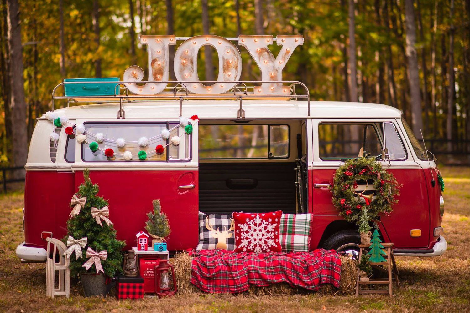 https://marykinzphotography.as.me/redvwbus