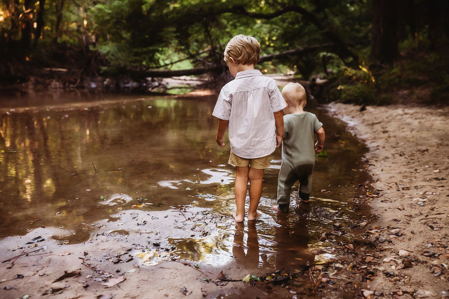 Children playing in a shallow creek on a summer day, splashing through muddy water along a wooded shoreline.