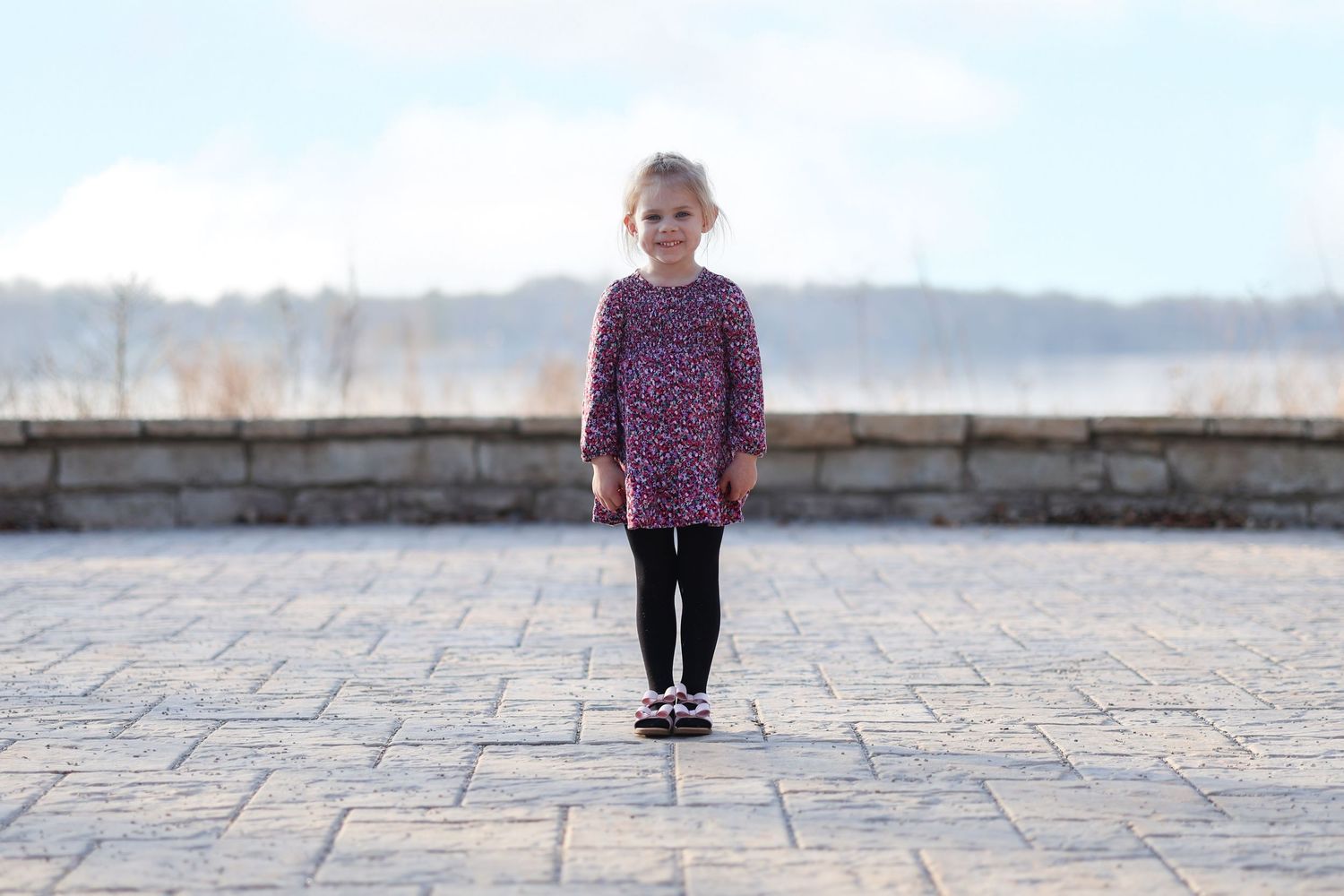 Springfield IL Photographer captures a young girl during a photo session in Central IL