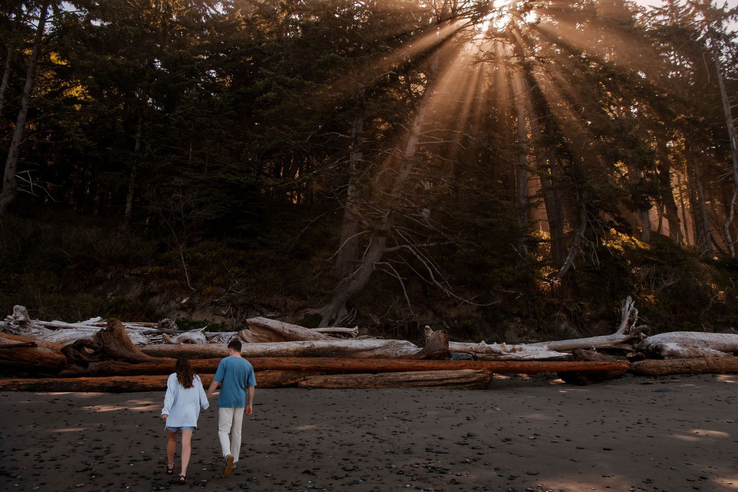 Charlotte Ann Photography - Family Portrait Photography. Pacific Northwest Photographer. Forks, Washington Photographer.