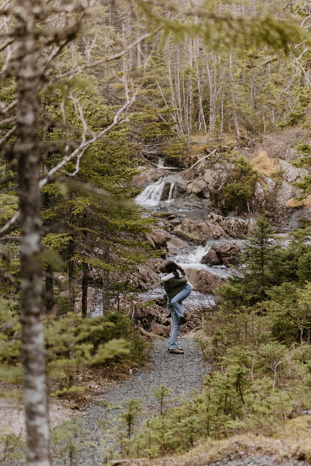 Rocky mountain stream flows through a wooded forest area with scattered rocks and fallen trees.
